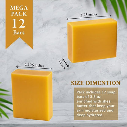 Manuka Honey Scented Natural Soap Bars (12 Bars), 3.5oz Moisturizing French Triple Milled Soap Bars Enriched with Shea Butter - Pure Plant Oil Bath & Body Bars