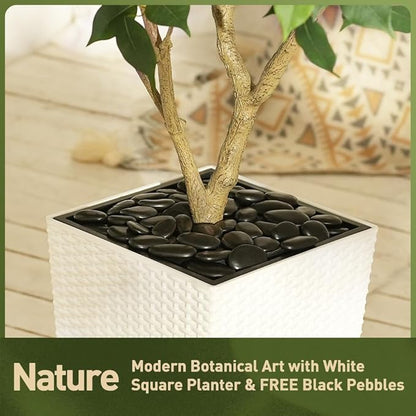5ft Tall Artificial Ficus Tree in White Planter with Pebbles | UV Resistant Faux Tree for Indoor & Outdoor | Realistic Floor Plant Decor for Home, Office (VN128)