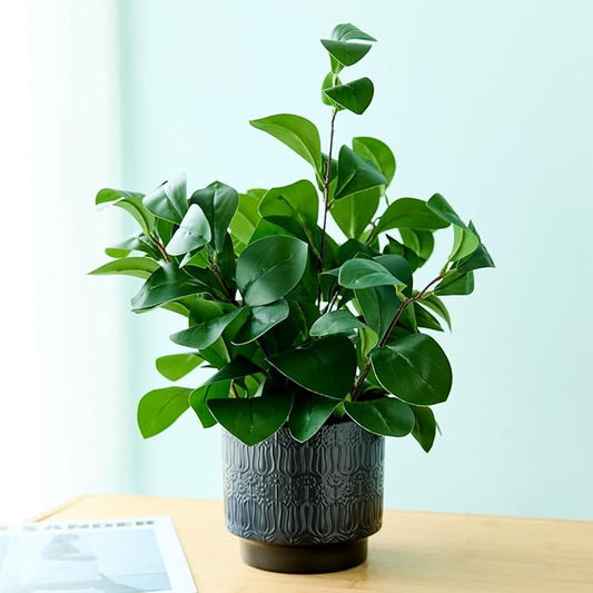 19" Artificial Ficus Plant in Textured Black Ceramic Planter Tall Faux Plant with Deep Green Leaves for Modern Home Office Shelf Bathroom Tabletop Indoor Decor
