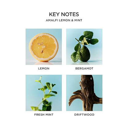 NEST New York Liquid Soap, Amalfi Lemon & Mint - 10 fl oz - Cleanses & Nourishes Skin - Approx. 300 Pumps Per Bottle - Gluten Free & Cruelty Free