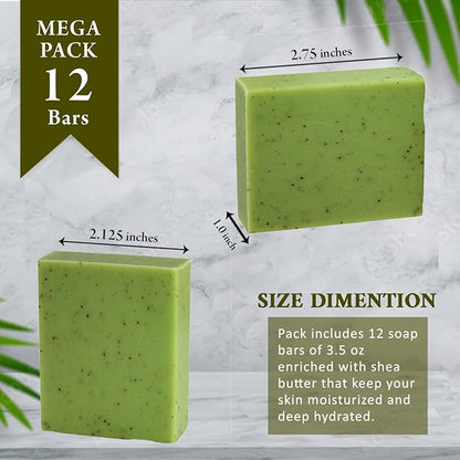 Eucalyptus Scented Natural Soap Bars (12 Bars), 3.5oz Moisturizing French Triple Milled Soap Bars Enriched with Shea Butter - Pure Plant Oil Bath & Body Soaps