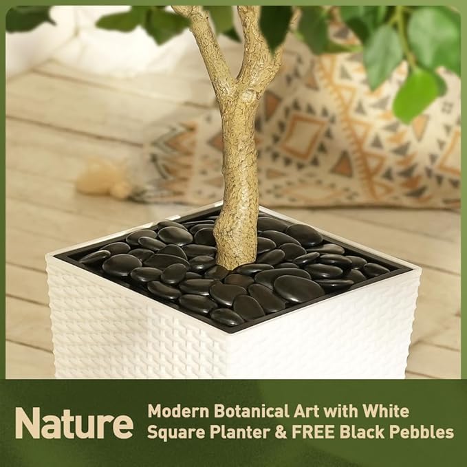 6ft Tall Artificial Ficus Tree in White Planter with Pebbles | UV Resistant Faux Tree for Indoor & Outdoor | Realistic Floor Plant Decor for Home, Office (VN128)