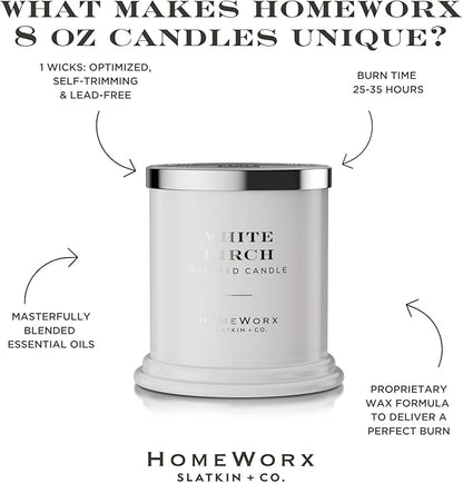 HomeWorx by SLATKIN + CO. Candle- White Birch, 8 oz. Premium Scented Candle - 25-35 Hours Burn Time