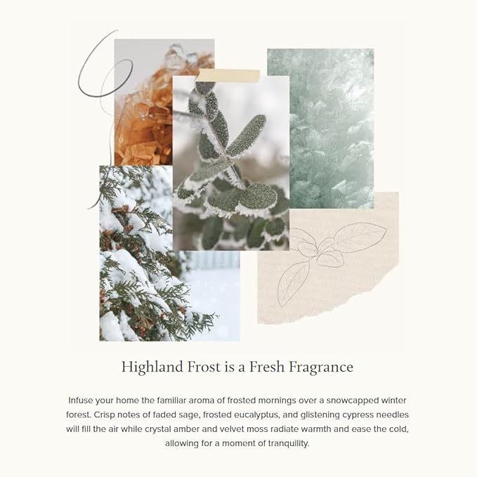 Thymes Petite Oil Reed Diffuser Set – Includes Reed Diffuser Sticks, Fragrance Oil, & Glass Bottle – Luxury Home Decor – Holiday Decor – Winter Scents – Sage-Green (Highland Frost, 4 fl oz)