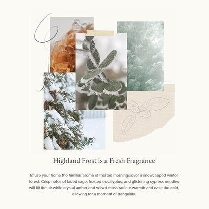 Thymes Petite Oil Reed Diffuser Set – Includes Reed Diffuser Sticks, Fragrance Oil, & Glass Bottle – Luxury Home Decor – Holiday Decor – Winter Scents – Sage-Green (Highland Frost, 4 fl oz)