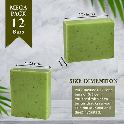 Eucalyptus Scented Natural Soap Bars (5 Bars), 3.5oz Moisturizing French Triple Milled Soap Bars Enriched with Shea Butter - Pure Plant Oil Bath & Body