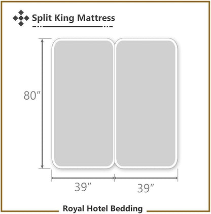 Royal Hotel Bedding ABRIPEDIC Sheets, Viscose from Bamboo, Sheet Set 600 Thread Count, Silky Soft Sheets, Viscose from Bamboo, Sheet Set, Split-King : Adjustable King, Canvas