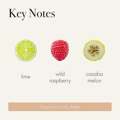 LAFCO New York Classic Reed Diffuser, Paloma Melon - 6 oz - Up to 3 Months Fragrance Life - Reusable Glass Vessel - Natural Wood Reeds - Made in The USA