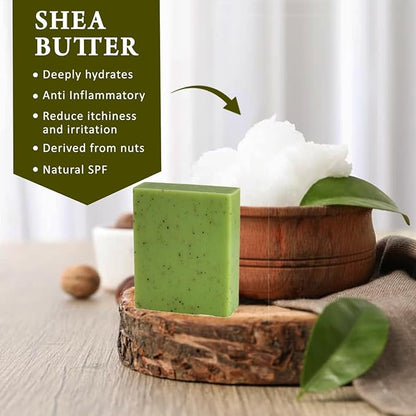 Eucalyptus Scented Natural Soap Bars (12 Bars), 3.5oz Moisturizing French Triple Milled Soap Bars Enriched with Shea Butter - Pure Plant Oil Bath & Body Soaps