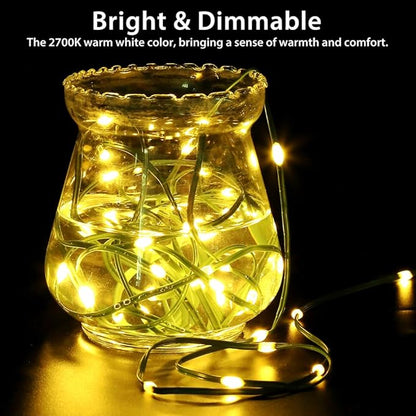 33ft Battery Operated String Lights (2 Pack), 100 LED Fairy String Lights Battery Powered w/Remote & Timer for Indoor Outdoor Christmas Trees Wreath Decoration Bedroom Patio - Warm White