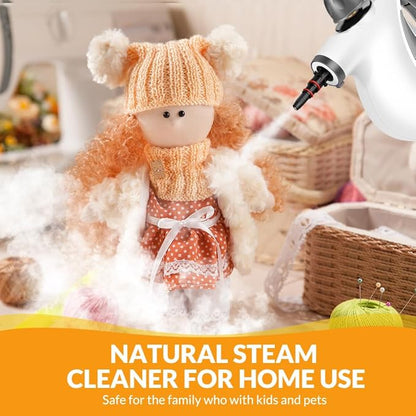 Handheld Pressurized Steam Cleaner with 12 pcs Accessories, Portable Steamer for Cleaning, Steam Cleaner for Home Use, Steamer for Cleaning Car, Furniture, Floor, Upholstery, Grout and Tile, Deep Gray
