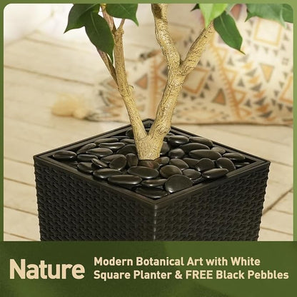 5ft Tall Artificial Ficus Tree in Black Planter with Pebbles | UV Resistant Faux Tree for Indoor & Outdoor | Realistic Floor Plant Decor for Home, Office (VN128)