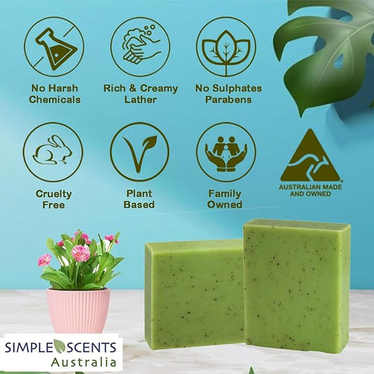 Eucalyptus Scented Natural Soap Bars (12 Bars), 3.5oz Moisturizing French Triple Milled Soap Bars Enriched with Shea Butter - Pure Plant Oil Bath & Body Soaps