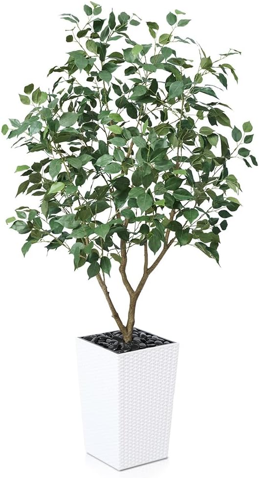 5ft Tall Artificial Ficus Tree in White Planter with Pebbles | UV Resistant Faux Tree for Indoor & Outdoor | Realistic Floor Plant Decor for Home, Office (VN128)