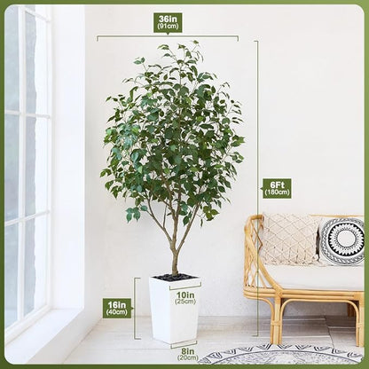 6ft Tall Artificial Ficus Tree in White Planter with Pebbles | UV Resistant Faux Tree for Indoor & Outdoor | Realistic Floor Plant Decor for Home, Office (VN128)