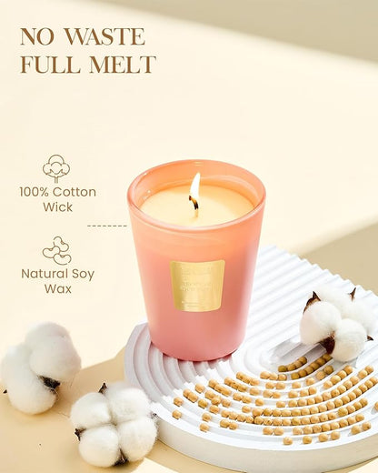 M&SENSE Tropical Spice Peach Scented Candle Home Decor, Natural Soy Wax,4.1oz 60 Hours Long Lasting Slow Burning, Aromatherapy Candle for Stress Relief