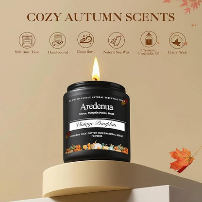 Vintage Pumpkin Candle – Warm Holiday Pumpkin Scent, Cozy Christmas Winter Seasonal Candles for Home, Hand-Poured Soy Candles for Christmas Décor & Cozy Gifting