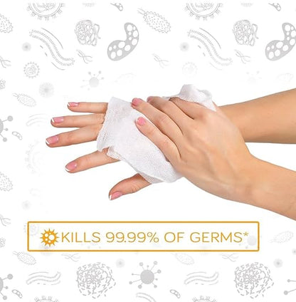 Care Touch Hand Sanitizer Wipes – 440 Individually Wrapped Packets (Box of 4, 110 Wipes Each)