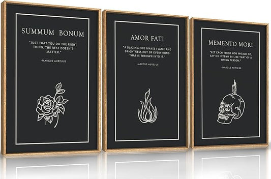 HLNIUC Halloween Canvas Wall Art Set of 3, Black Skeleton Meditations Home Decor, Amor Fati Memento Mori Stoic Art(16x24),Vintage Flower Fire Marcus Aurelius Painting for Living Room, Bedroom, Office