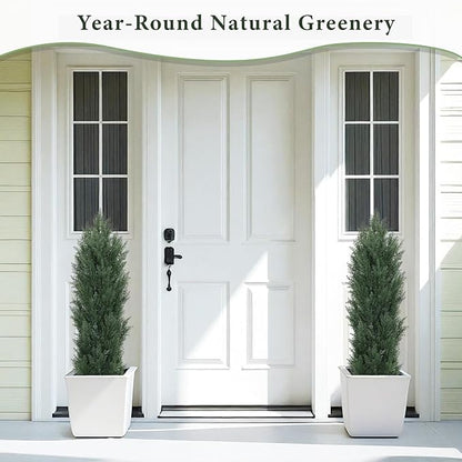 THE BLOOM TIMES 3ft Topiary Trees Artificial Outdoor Set of 2, UV Resistant Faux Cedar Pine Cypress Bushes & Shrubs, Fake Plants for Front Porch Outside Planter Patio Christmas Decor 3 Foot Tall