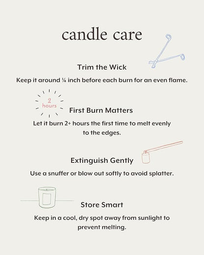 Literie Miami Inspired Scented Candle: Bottle Service - Spirits & Muddled Fruit Scent, 7.5oz, 40 Hour Burn, Vegan Soy & Coconut Blend Candle for Home Decor, Gift for Women & Men
