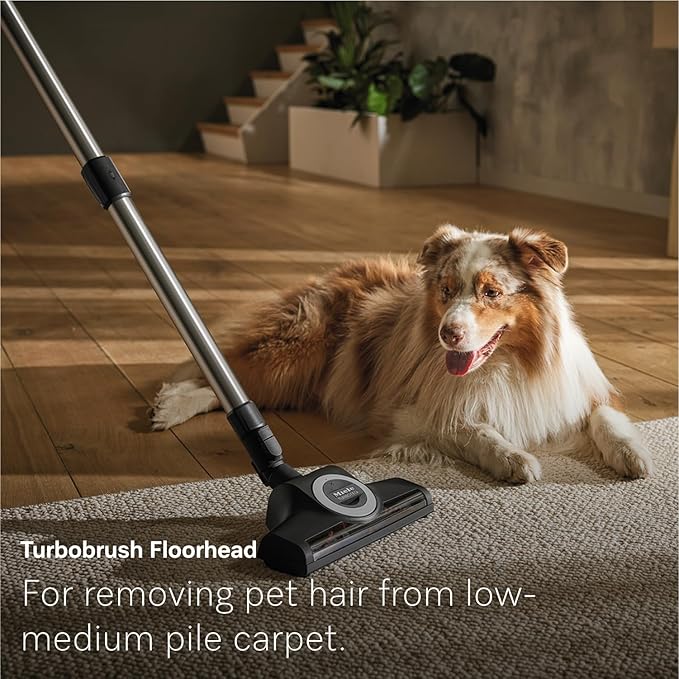 Miele New Guard L1 Cat & Dog Bagged Canister Vacuum for Pet Owners with Odor-Reducing Active AirClean Filter, TurboTeQ Floorhead, and AllTeQ Universal Floorhead, in Obsidian Black/Rose Gold