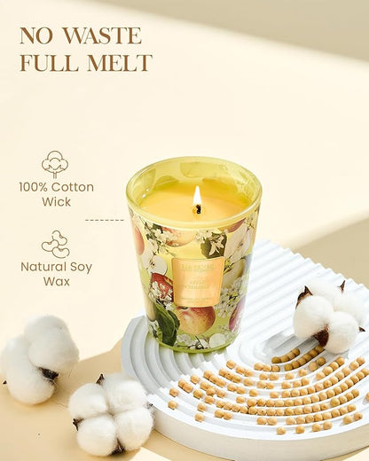 M&SENSE Apple Crumble Scented Natural Soy Wax Candle, 14.1oz 60 Hours Long Lasting Slow Burning Candles for Home Decor, Aromatherapy Candle for Stress Relief