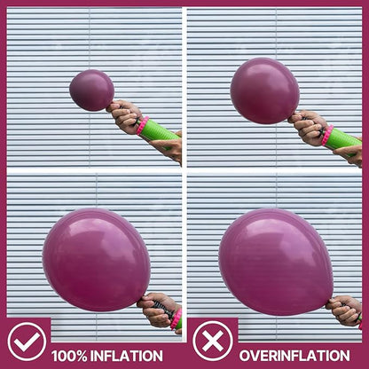 PartyWoo Dark Purple Balloons 50 pcs 12 Inch Dark Magenta Plum Latex Helium Balloons for Graduation Baby Shower Gender Reveal Wedding Butterfly Halloween Birthday Party Decorations Purple-F13