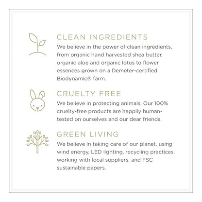 Zents Hand & Body Wash (Travel Size - Earth Fragrance) | Hydrating Anti-Aging Cleanser with Organic Shea Butter & Aloe for Dry Skin | Gentle & Nourishing | 1 fl oz | TSA Approved