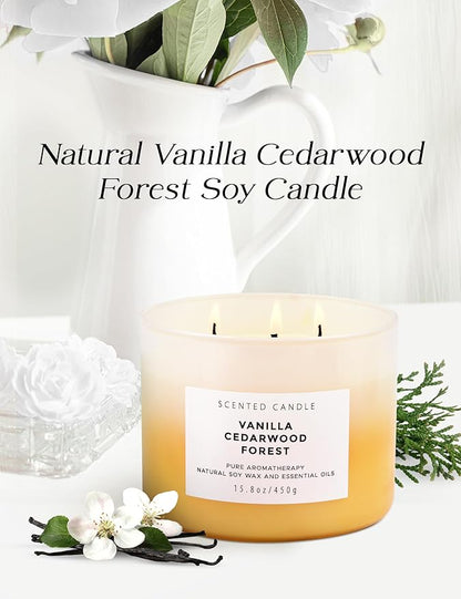Vanilla Cedarwood Forest 3-Wick Soy Scented Candle, 15.8 oz | Warm Vanilla Woods Candle with Cedar, Balsam, Clove & Jasmine | Winter Aromatherapy Candle for Home, Clean Burning