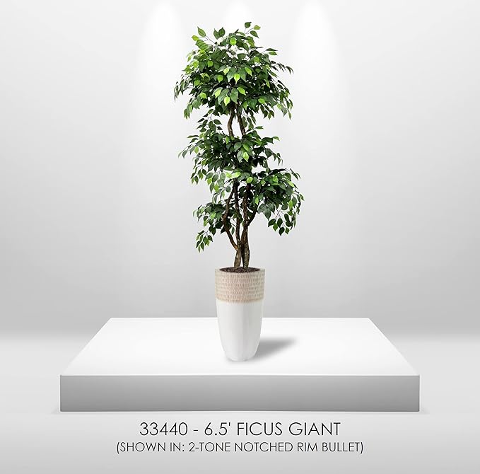 Cypress & Alabaster Handmade 6.5ft 3-Tier Ficus Artificial Tree with Ethically Sourced Real Wood Trunks, Hypoallergenic, 6.5-Foot, Green