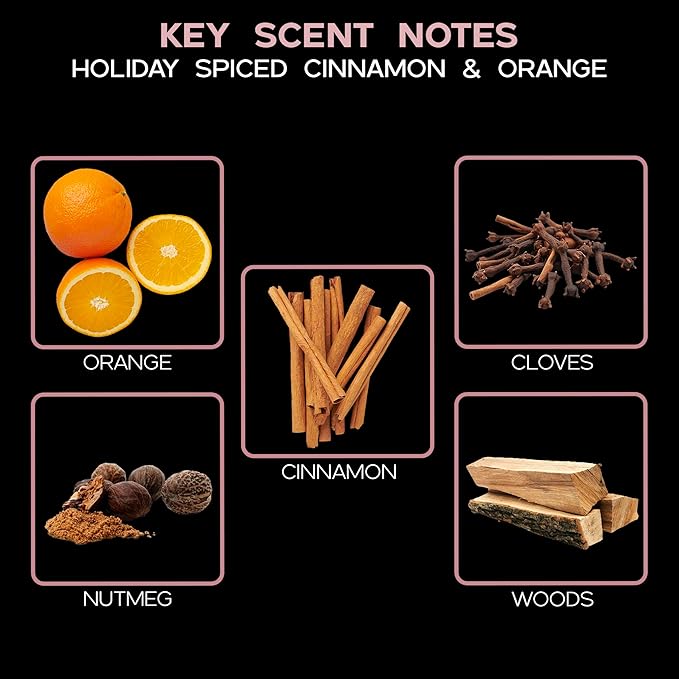 LOVSPA Reed Diffuser Set, Spiced Pomander Scented Oil Diffuser with Sticks, Home Fragrance Accessories for Bathroom Shelf Decor, Aroma Diffusers for Home or Office Desk, USA Made