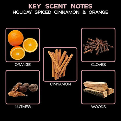 LOVSPA Reed Diffuser Set, Spiced Pomander Scented Oil Diffuser with Sticks, Home Fragrance Accessories for Bathroom Shelf Decor, Aroma Diffusers for Home or Office Desk, USA Made