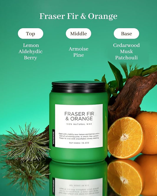 M&SENSE Frasier Fir Pine Scented Candles Large Candle for Home 19.4oz 110 Hour Clean Non Toxic Long Lasting Organic Natural Soy Wax Highly Scented Holiday Candle Gifts for Home Decor