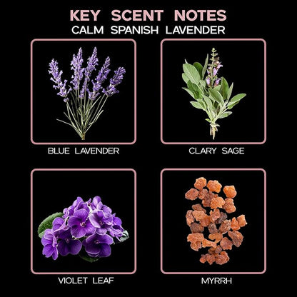 LOVSPA Reed Diffuser Set, Calm Spanish Blue Lavender Scented Oil Diffuser with Sticks, Home Fragrance Accessories for Bathroom Shelf Decor, Aroma Diffusers for Home or Office Desk, USA Made