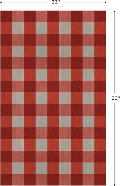 GENIMO Checkered Rug 3x5 Ft Red and White Outdoor Rug Buffalo Plaid Rugs Mat Fall Doormats Washable Rug for Front Porch Decor Indoor Entrance Patio Balcony Entryway