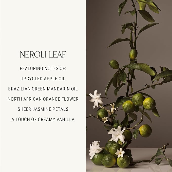 Homecourt Luxury Candle, Neroli Leaf Scent, 60-Hour Burn Time, Soy Wax Blend, Organic Cotton Wick, Reusable Kiln-Fired Ceramic Vessel, 8 Oz, 2.0