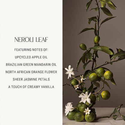 Homecourt Luxury Candle, Neroli Leaf Scent, 60-Hour Burn Time, Soy Wax Blend, Organic Cotton Wick, Reusable Kiln-Fired Ceramic Vessel, 8 Oz, 2.0