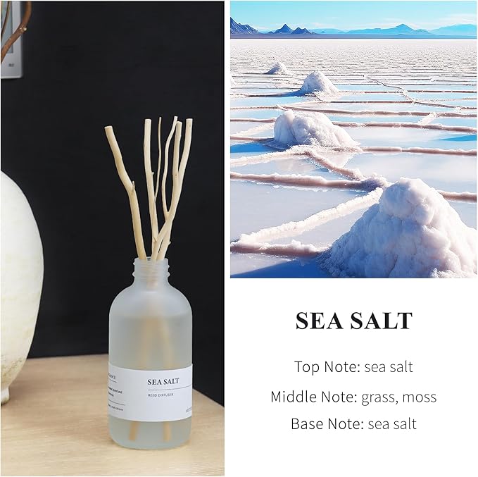 Sea Salt Reed Diffuser, 7.4oz(220ml) Sea Salt Musk & Seaweed Essential Oil Refill, Bathroom Air Freshener with Willow Branches Decor, Long Lasting Fragrance for Home (1-Pack)