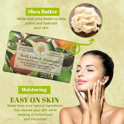 Wavertree & London Basil, Lime & Mandarin Scented Natural Soap (8 Bars), 7oz Moisturizing French Triple Milled Soap Bars enriched with shea butter - Pure Plant Oil Bath & Body Bars for All Skin Types