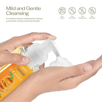 Foaming Hand Soap Pack of 10 - Moisturizing Hand Soap with Aloe Vera and Essential Oils - Alcohol-Free Hand Wash in Citrus Blend, Lemon, Orange, Lime, Grapefruit, Black Cherry Fragrances & More, Scented Hand Wash for Kitchen or Bathroom