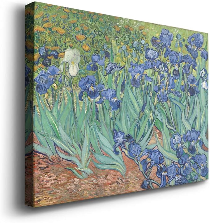 Wexford Home Home Decor Landscape Canvas Wall Art Abstract Floral Painting Modern Pictures Artwork Decoration for Living Room Kitchen Bathroom Office, Ready to Hang, iries, 8x12