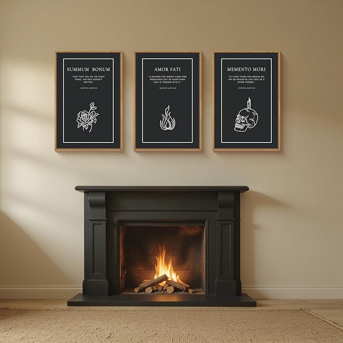 HLNIUC Halloween Canvas Wall Art Set of 3, Black Skeleton Meditations Home Decor, Amor Fati Memento Mori Stoic Art(16x24),Vintage Flower Fire Marcus Aurelius Painting for Living Room, Bedroom, Office