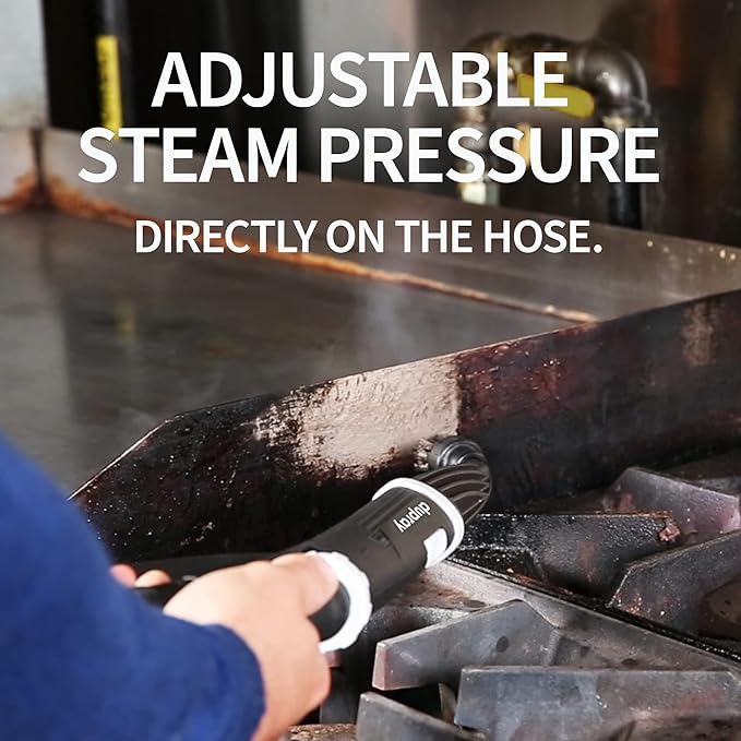 Dupray One Steam Cleaner: Portable, chemical-free all-purpose steamer for floors, tiles, and more. Made in Europe, ideal for home and professional use.