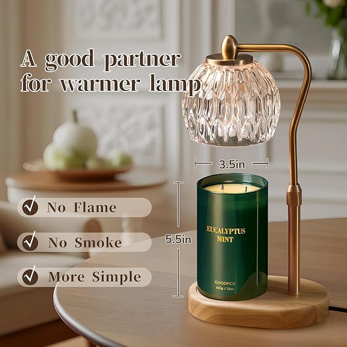 Goodpick Candle Eucalyptus Mint, Soy Candles for Home Scented, Stress Relief, 22oz Long Lasting 120 Hours