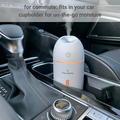 Hey Dewy Wireless, Rechargeable, Self-Care, Skin-Nourishing, Hydrating, Portable Cool Mist Humidifier (Blush)