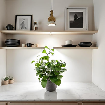 19" Artificial Ficus Plant in Textured Black Ceramic Planter Tall Faux Plant with Deep Green Leaves for Modern Home Office Shelf Bathroom Tabletop Indoor Decor