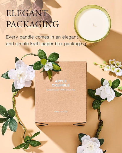 M&SENSE Orange Goji Scented Natural Soy Wax Candle, 14.1oz 60 Hours Long Lasting Slow Burning Candles for Home Decor, Aromatherapy Candle for Stress Relief