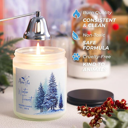 Winter Candle Set | 6 Pack Christmas Scented Candles for Home - Holiday Soy Candle Gift Set for Women Men, Aromatherapy Candles Scents of Hello Winter/Forest/Cider/Warm/Fireside/Bonfire