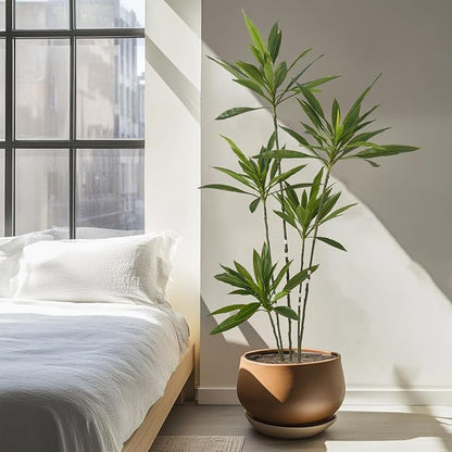 Artificial Cordyline Plant, 6 Ft Tall Green Leaves, 5 Stems with Pot, Indoor Decorative Tree(Green)